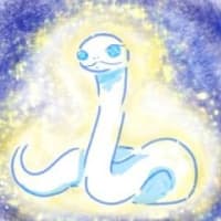2025年の神秘の光を受け入れる