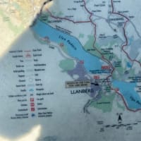 英国ひとり旅　マン島TT観戦記19　Snowdon山岳鉄道の近辺でひつじが！？