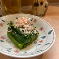 看板猫のいるお店で猫飲み 1 (2408-1)