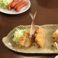 大磯たまや食堂で昼食　アラ汁定食が美味かった-----かなり前の画像です