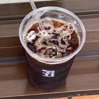 朝ウォーキングの風景。令和7年6月13日。何もしなくても咲く。