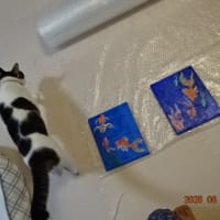 きんぎょ展　ART HOUSEに参加しました
