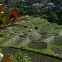 日本の棚田百選の一つ、坂折棚田（さかおりたなだ）美景、ドキドキ眺め　(岐阜県恵那市)