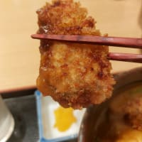 めん処 おぎ野 (上社) ～ 牡蠣フライカレーうどん ～