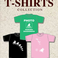 ハイカラなTシャツ