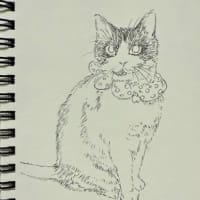 ときどき　らくがき　５。