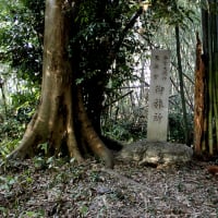 きぬがさやま夜話外伝“シガイの森”の伝説