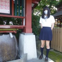 2025年の後半開始