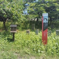6月24日 道南案内
