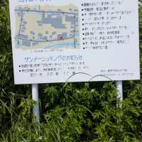 サンデージョギングの話。