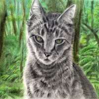 Deep forest guardian. Cat name is Zorro