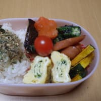 ★４６６・９９７★ギンダラの西京焼き弁当★センター初日