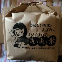 まいまい米買ってみました。