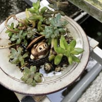 今日いち-2025年6月25日