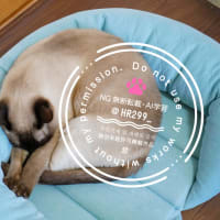 ごめん寝