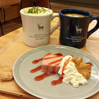 狸小路の新たなランドマークでカフェタイム！～札幌狸小路商店街4丁目「TNOC（ティーノック） THE CAFE SAPPORO T4」～