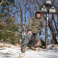 今年の登り収め天城山