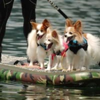 みいちゃん　空斗　海斗　とのお別れ