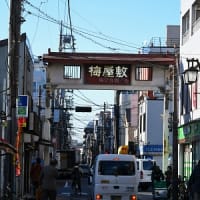 梅屋敷の梅　その１　2024