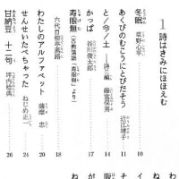  『詩はきみのそばにいる』ポプラ社