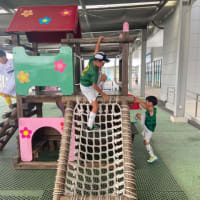 今日総括