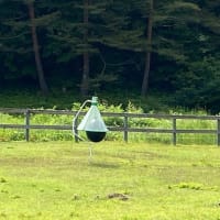 天気は下り坂