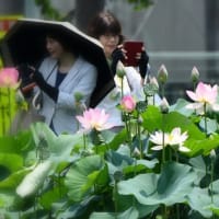 投稿して、10年　　2025 10 01終了します。