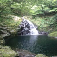 森林浴でリフレッシュ