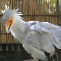 動物園