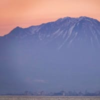 今朝の大山さん　4月17日