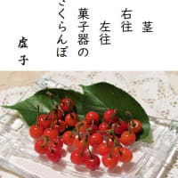 ２０１９年　No.２（6/1）