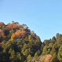 DP3M＠山寺