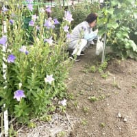 6月25日（水）③