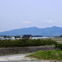 玉名市大浜海岸のマジャク釣り・・・2025年6月