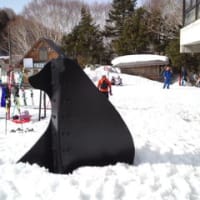 エコー・コムラードスキークラブ「志賀熊の湯スクール」どぴーかんの3日間！