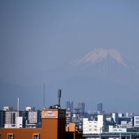 雪だけ見える感じの今日の富士山