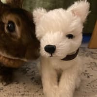 久しぶりすぎる～