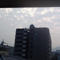 2025年7月3日（木）曇。