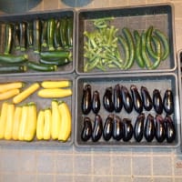 　ユリ終盤　野菜収穫オクラ・ナス大量