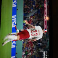 デンマーク応援してます！！　フランス戦
