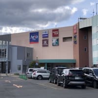 どんぐり アリオ札幌店