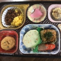 ナンコツ入りつくね&野菜の入った豆腐ハンバーグ