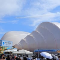 大阪・関西万博でブルーインパルスを撮影_25/07/12