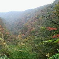 紅葉の那須高原に行って来ました