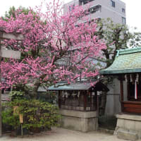 「2025年も管大臣社...」