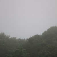 北海道の七夕は8月7日だったけど…