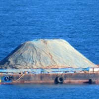６月１２日の大浦湾の様子