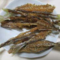 質素に少量-今日も元気----鯵の南蛮漬け、お好み焼き、焼き芋、高菜の握り、茄子の醤油焼き、アスパラ豚肉焼、パイナップル、