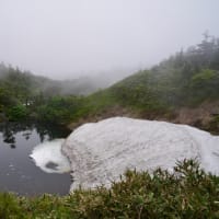 霧の八幡平