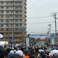 4月20日　日曜日
